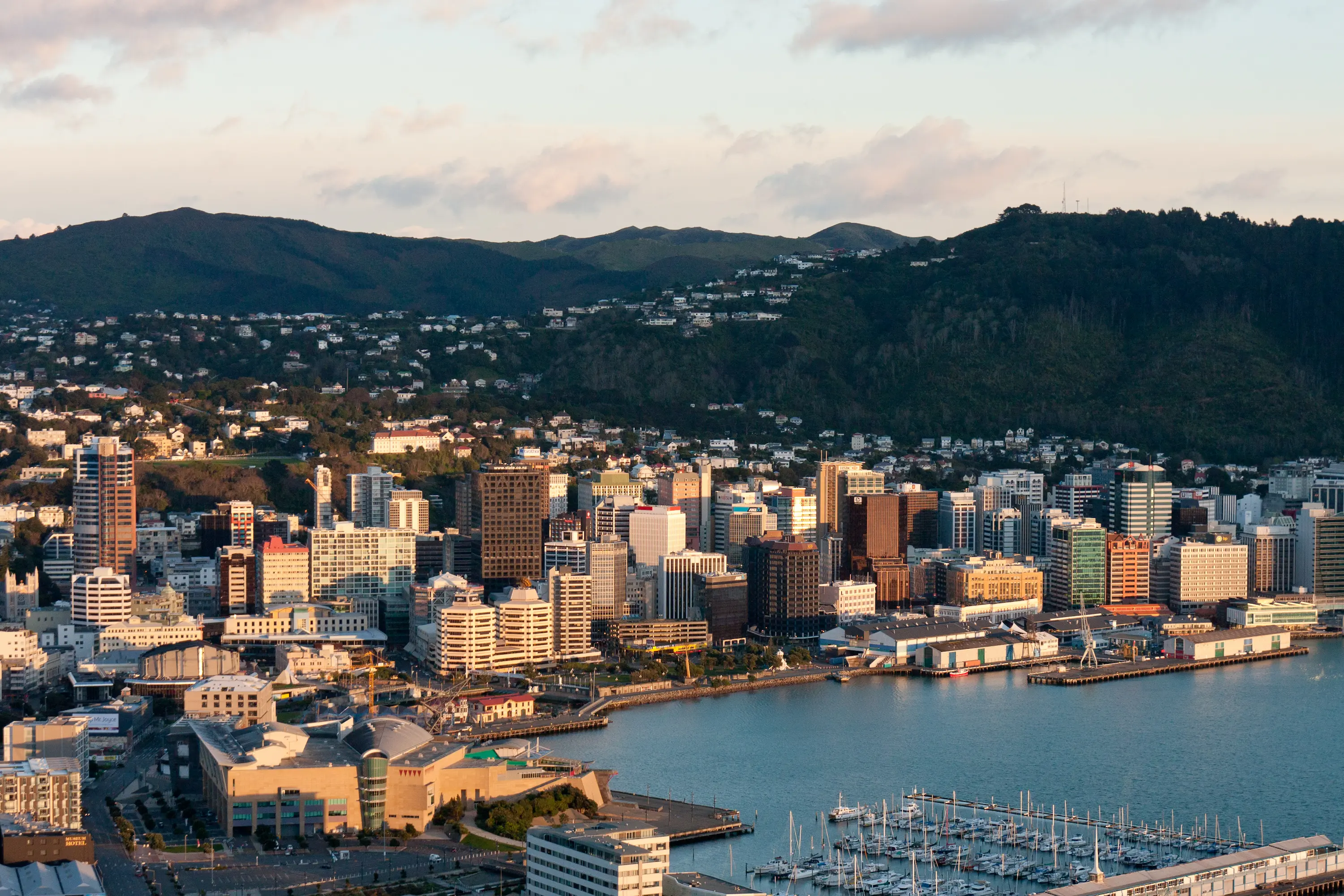 Wellington at dawn - AEJ Consultancy web development